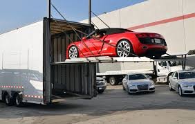 Pet & Car Delivery